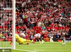 第三野战军战史txt 第三野战军战史txt